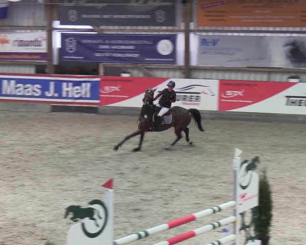 Reitturnier Negernbötel 2021, 9. Nordic Jumping event 2020/2021