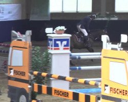 jumper Chica S (Oldenburg show jumper, 2008, from Champion For Pleasure)