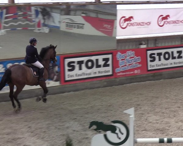 Reitturnier Negernbötel 2021, 9. Nordic Jumping event 2020/2021