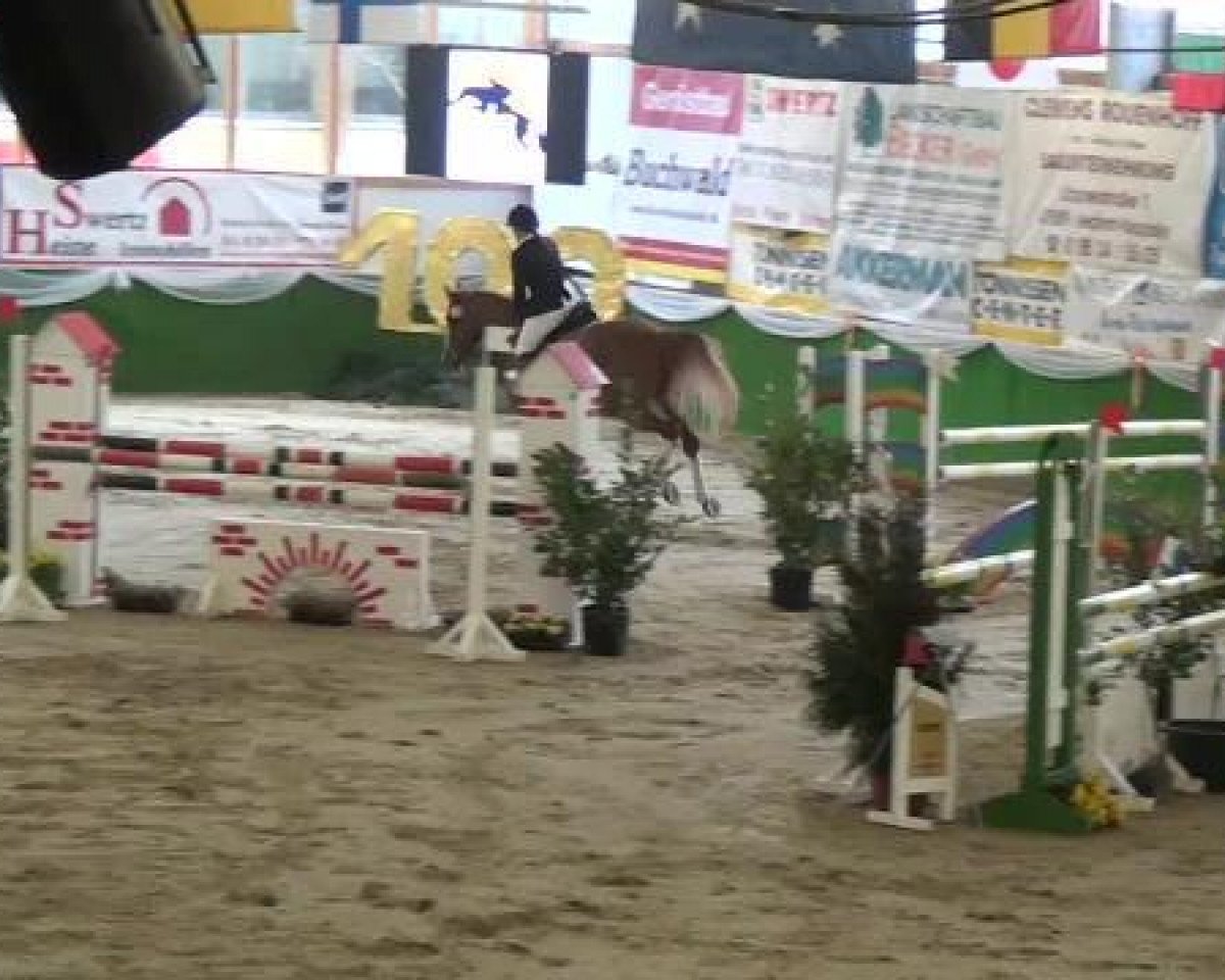 jumper Betty Balou 10 (Oldenburg show jumper, 2006, from Balou du Rouet)