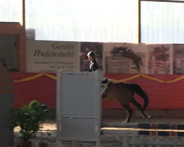 dressage horse Pekingboy Ph (Rhinelander, 2007, from Peking)