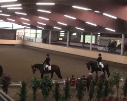 dressage horse Charmeur Deluxe (Hanoverian, 2008, from Curator 2)