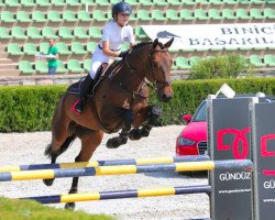 jumper Camaruso H (KWPN (Royal Dutch Sporthorse), 2007, from Indoctro)