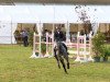 jumper Coupinia (Oldenburg show jumper, 2006, from Coupe de Coeur 2)