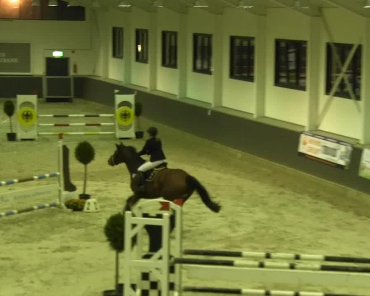 Springpferd Cadeau Valentina (Oldenburger, 2005, von Cordalme Z)