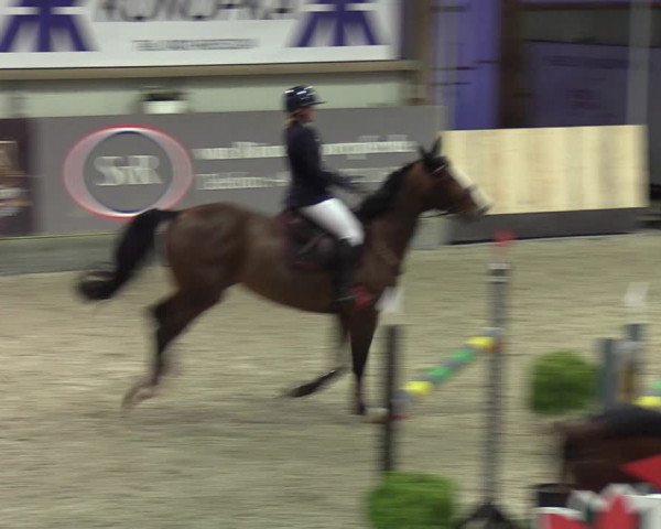 Reitturnier Negernbötel 2021, 9. Nordic Jumping event 2020/2021