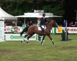 jumper Zirikit (KWPN (Royal Dutch Sporthorse), 2004, from Caspar (Berlin))