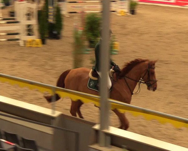 Reitturnier Verden Montagsclub 2021