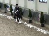 dressage horse Janosch 671 (Rhinelander, 2006, from Jumbo-Jet)