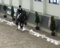 dressage horse Janosch 671 (Rhinelander, 2006, from Jumbo-Jet)