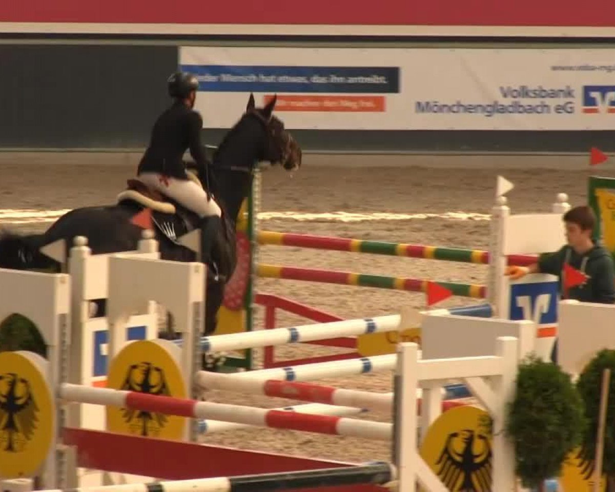 Springpferd Cassian 10 (Zangersheide Reitpferd, 2007, von Chellano Z)