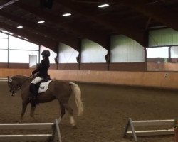 dressage horse Thistledown Lowry (Welsh-Pony (Section B), 2007, from Delvers Tarragon)