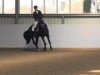 dressage horse Dj Depardieu (Hanoverian, 2007, from Depardieu 11)