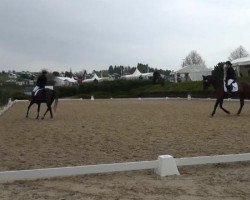 dressage horse Lambada 227 (Westphalian, 2008, from Let de Lember)