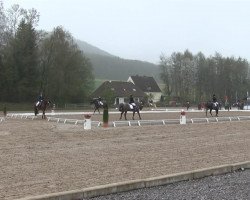 dressage horse Be Good E (KWPN (Royal Dutch Sporthorse), 2005, from Glock's Johnson Tn)