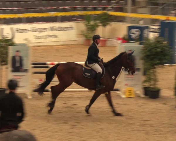 Reitturnier Verden Montagsclub 2021