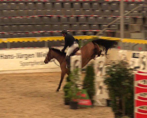 Reitturnier Verden Montagsclub 2021