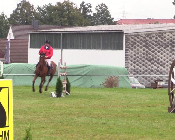 Reitturnier Altmittweida 2021