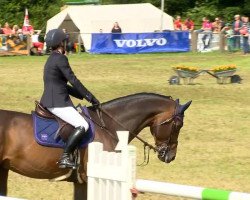 jumper Dante de Joter (Belgian Warmblood, 2003, from Clinton)