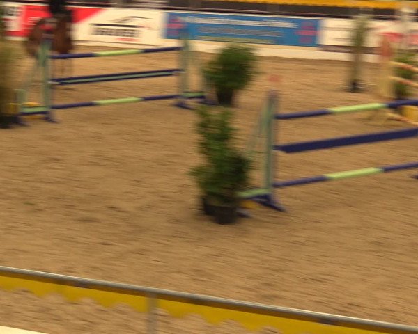 Reitturnier Verden Montagsclub 2021