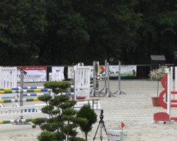 jumper Fachoudette 2 (Hanoverian, 2006, from For Edition)