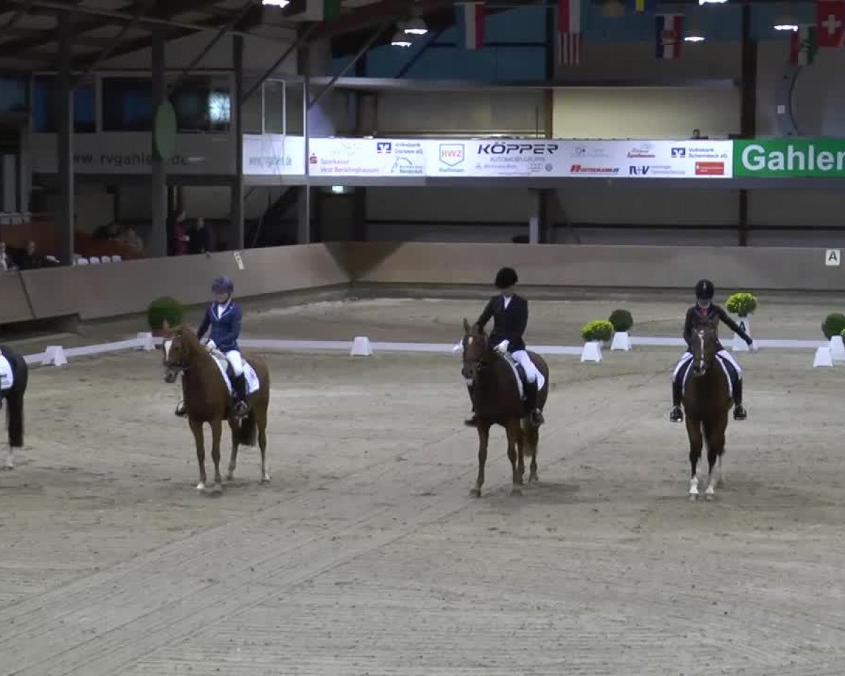 Dressurpferd Arabis D (Deutsches Reitpony, 2007, von Amarillys Sensation D)