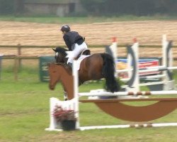 jumper Karlson (German Riding Pony, 2007, from Kennedy WE)