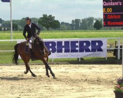 jumper Quidam's La Pilot (Oldenburg, 2007, from Quidam's Rubin)