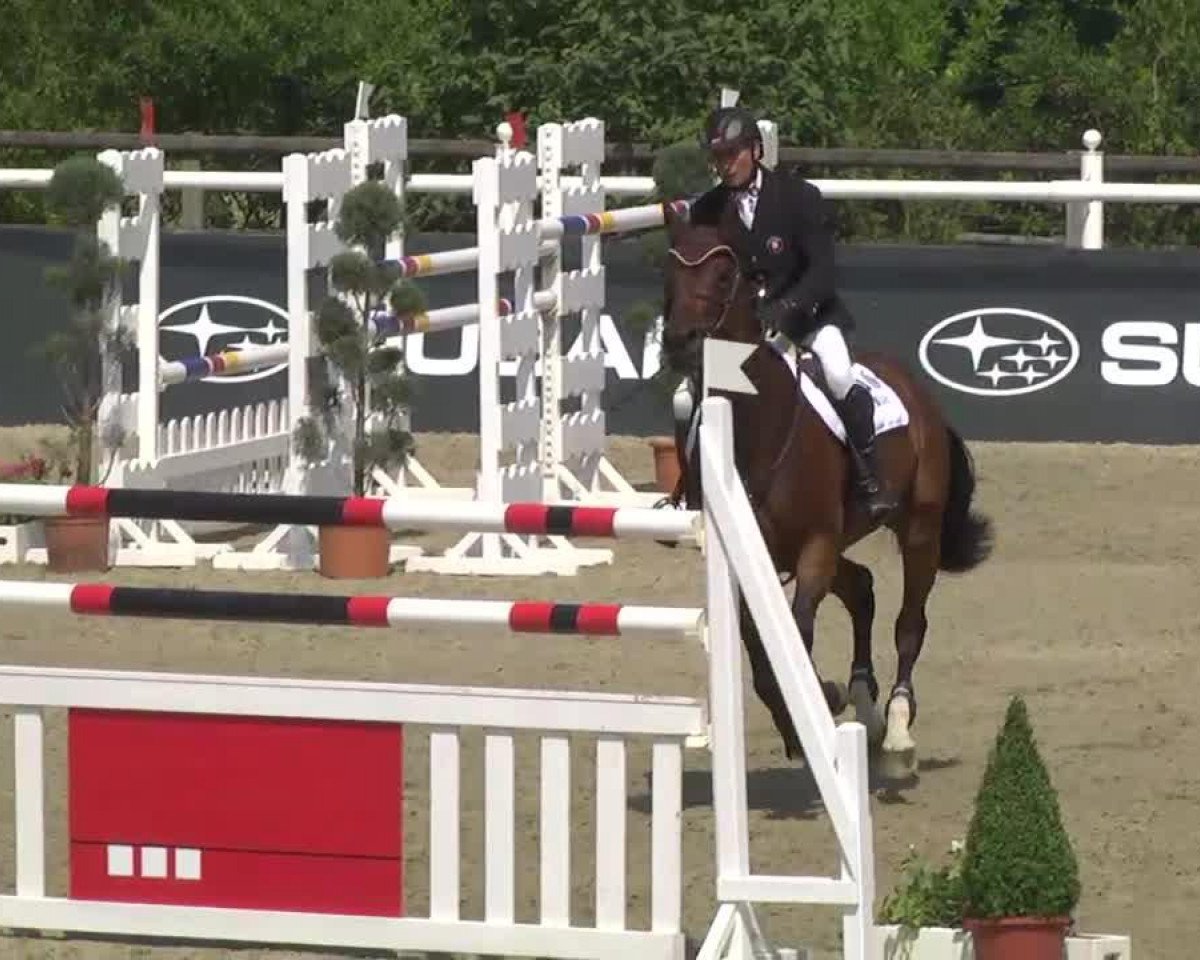 Springpferd Dana van de Veldbalie (Belgisches Warmblut, 2003, von Orlando van de Heffinck)