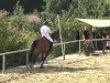 jumper Quicklady de Reve (Oldenburg, 2007, from Nabab de Rêve)