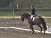 dressage horse DeLuxe 18 (Trakehner, 2007, from Herzensdieb)