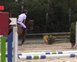 jumper Favorit 191 (Hanoverian, 2008, from For Pleasure)