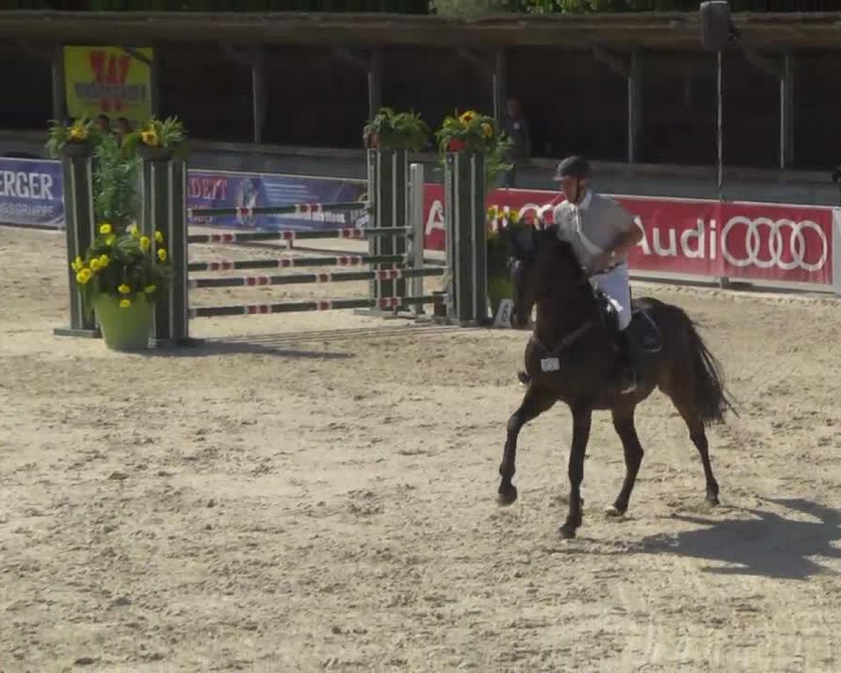 jumper Cynema (Bavarian, 2006, from Candillo Z)
