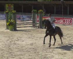 jumper Cynema (Bavarian, 2006, from Candillo Z)