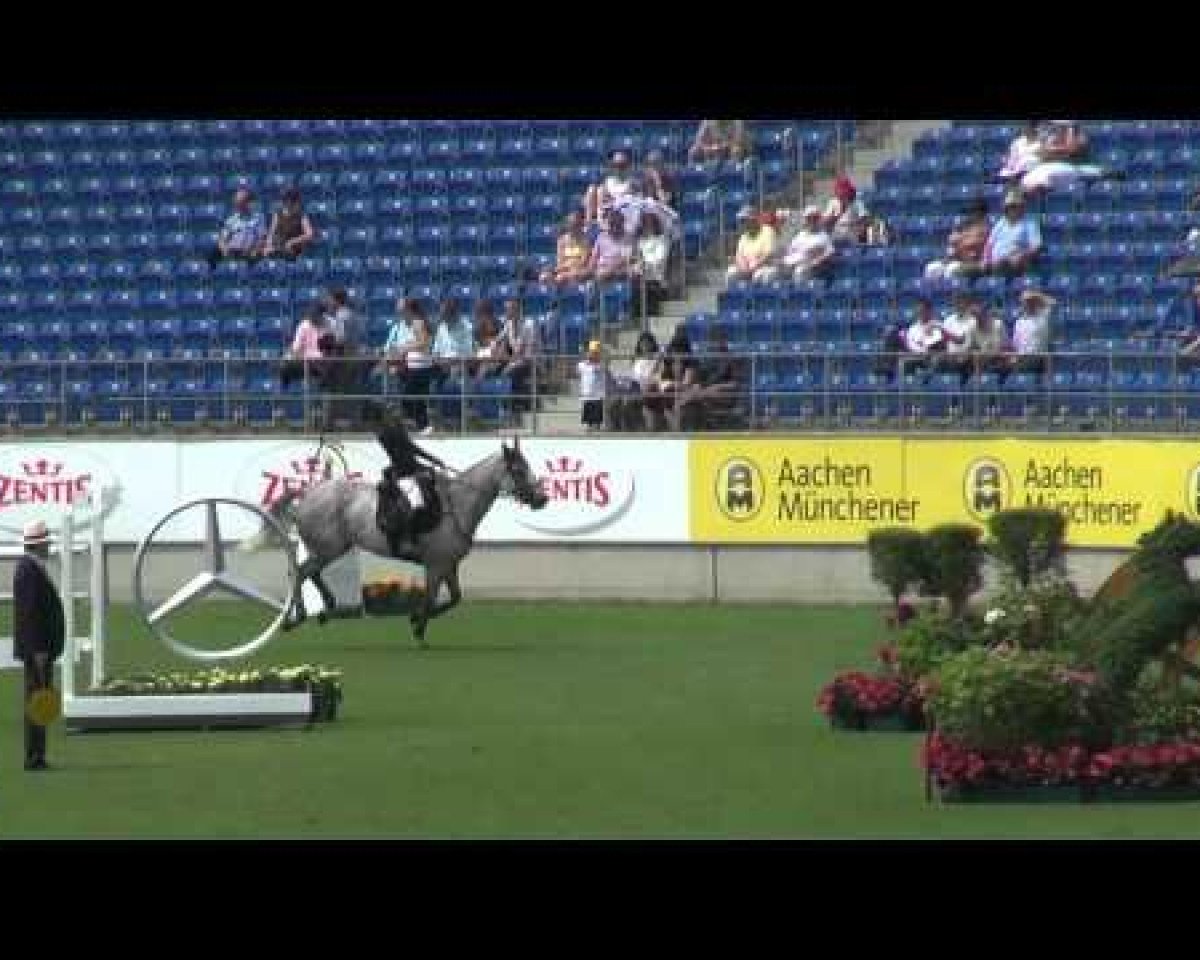 jumper Clear Cc (Holsteiner, 2004)