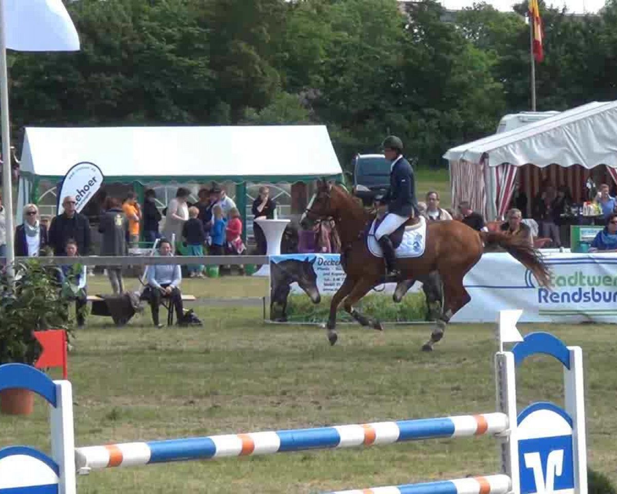 jumper Adorable (KWPN (Royal Dutch Sporthorse), 2005, from Heartbreaker)