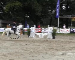 jumper Victor 150 (Slovakian Warmblood, 0000, from Denis)