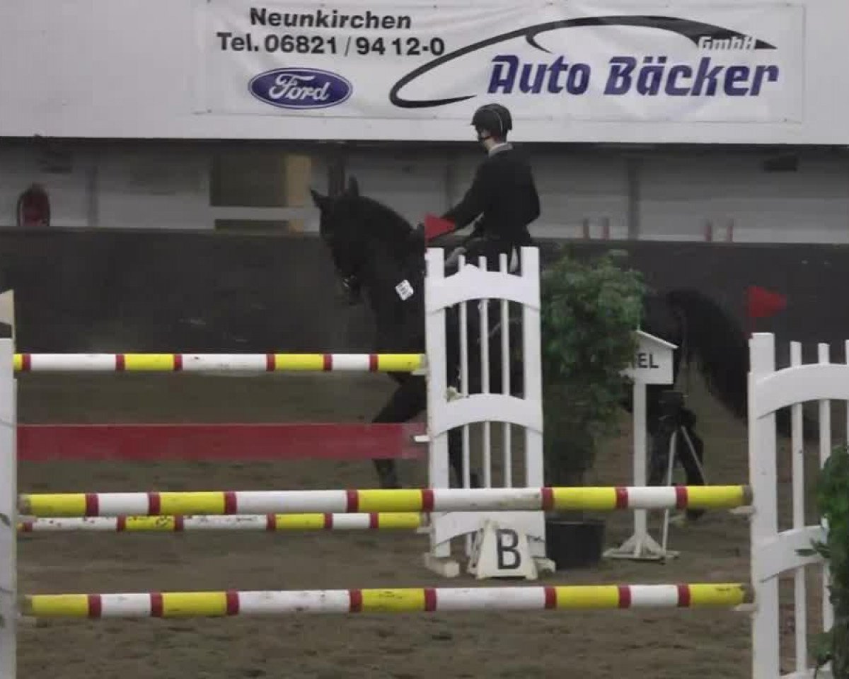 jumper Carrie 17 (Slovenian Warmblood, 2005)