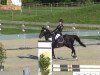 jumper Caletto 51 (Polish Pony, 2001, from Nur)