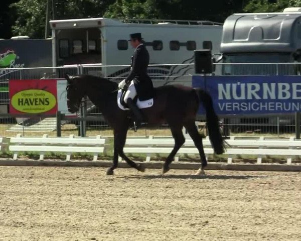 dressage horse Bugatti V (Polish Warmblood, 2001, from Pik Senior)