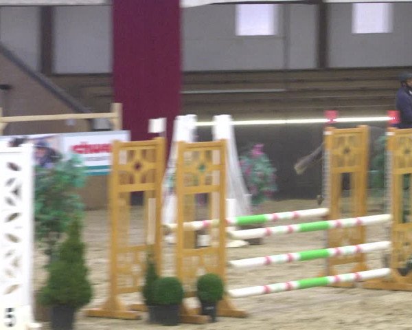 Reitturnier Darmstadt-Kranichstein 2021