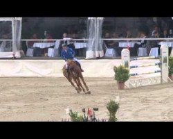 jumper Bajograf (Polish Warmblood, 2000, from Graf Quidam)