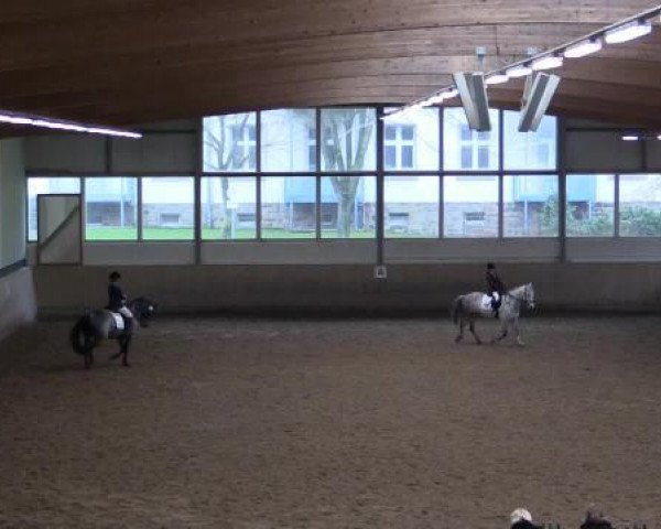 jumper Belmondo 149 (Nederlands Rijpaarden en Pony, 2005, from King Kadanz)