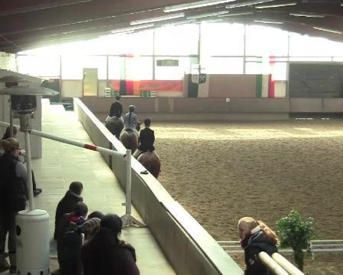horse Keimpe fan Koldyk (Friese, 2003, from Wibe 402)