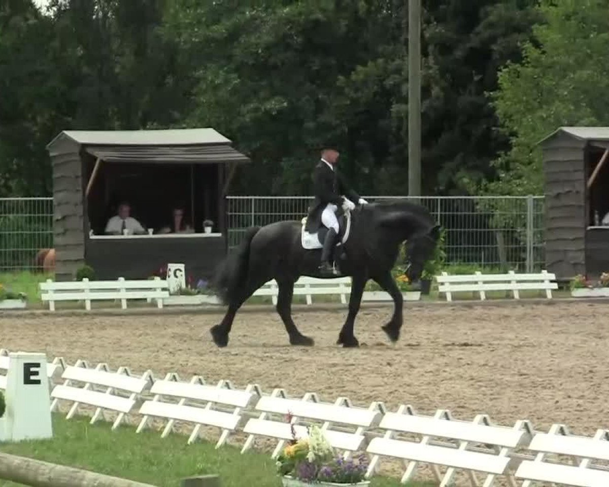 Pferd Lex 62 (Friese, 2003, von Brandus 345)