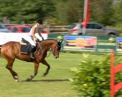 broodmare Peekje (Westphalian, 1988, from Frans 289)