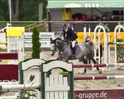 jumper Arhaya (KWPN (Royal Dutch Sporthorse), 2005, from Celano)