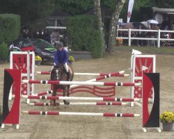 jumper Wholivia (KWPN (Royal Dutch Sporthorse), 2003, from Guidam)