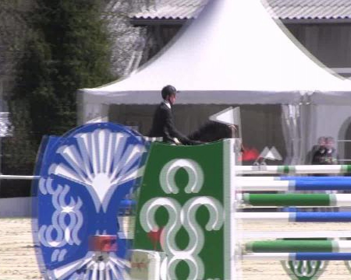 Zuchtstute Wajuline (KWPN (Niederländisches Warmblut), 2003, von Numero Uno)