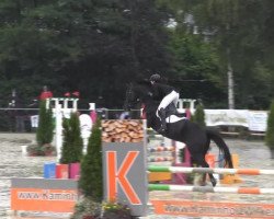 Springpferd Valentino 267 (KWPN (Niederländisches Warmblut), 2002, von Zortin)